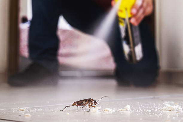 Best Mosquito Control Services  in Vidalia, LA