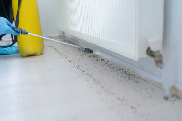 Best Pest Control for Businesses  in Vidalia, LA